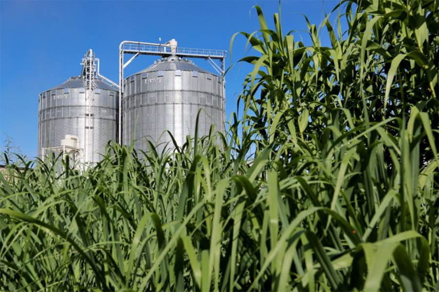 A study led by MIT Center for Sustainability Science and Strategy researchers shows that there is enough land to support efforts to cap global warming at 1.5 degrees Celsius while addressing competing needs for long-term food security and ecosystem health.