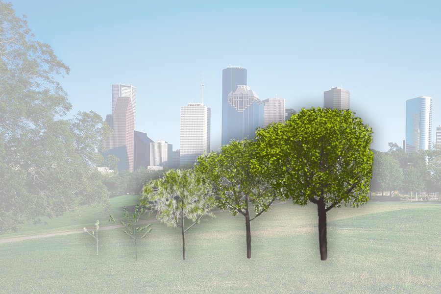 MIT Assistant Professor Sara Beery contributed to the new Tree D-fusion system, which can generate a simulation-ready 3D model of a real tree from images such as those found on Google Street View. The system leverages a tree shape generated using species- and environment-specific data to create realistic, lifelike tree models.