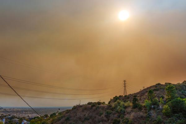 A modeling study shows that global warming will likely make it harder to reduce ground-level ozone, a respiratory irritant that is a key component of smog, by cutting nitrogen oxide emissions.