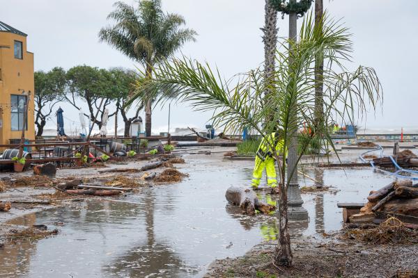 A new prediction method fueled by an MIT-derived algorithm helps forecast frequency of extreme weather.