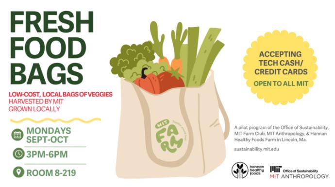 MIT Fresh Food Bags - Pop Up Market