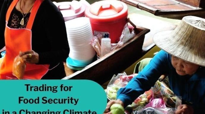 Trading for Food Security in a Changing Climate