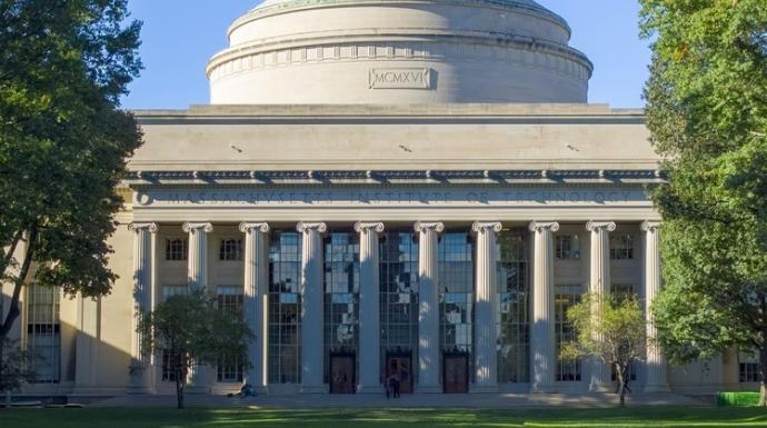 Indigenous Wisdom and the Teachings of Trees: Old growth Forests and the promise of Futurity