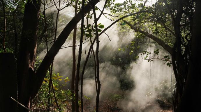 3 Questions: Exploring the limits of carbon sequestration 