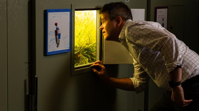 Exploring how plants thrive in a changing environment