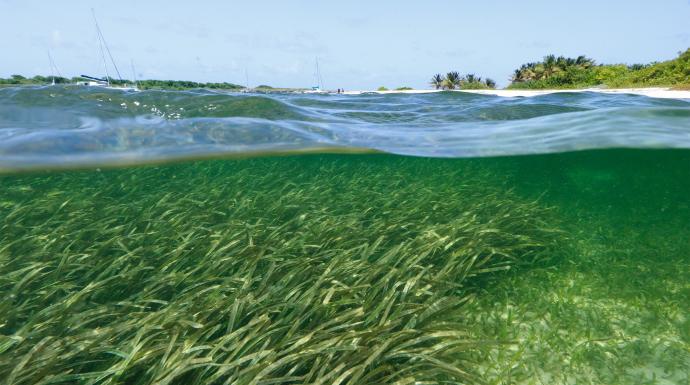 Study helps pinpoint areas where microplastics will accumulate
