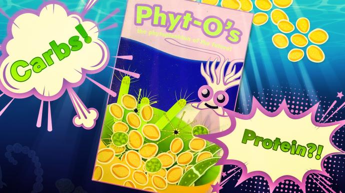 Climate change may produce “fast-food” phytoplankton