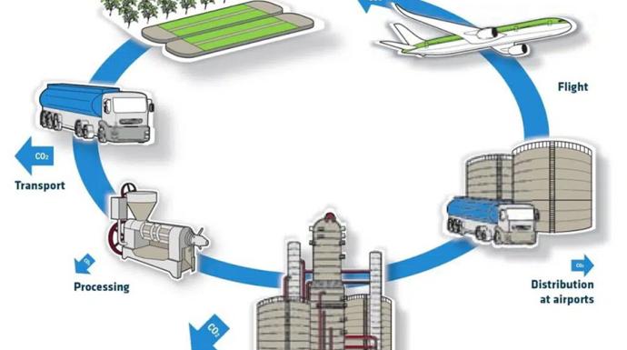 Toward sustainable decarbonization of aviation in Latin America