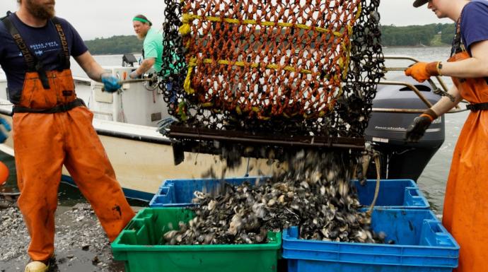 Carbon removal project supports Maine’s blue economy, broader marine health